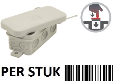 FKFESJS-0894337-0001