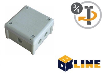 FKWVIJS-BLG100S-0010