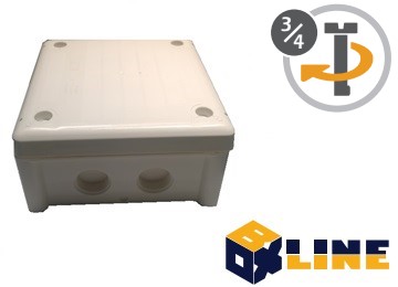 FKWVIJS-BLW100S-0001