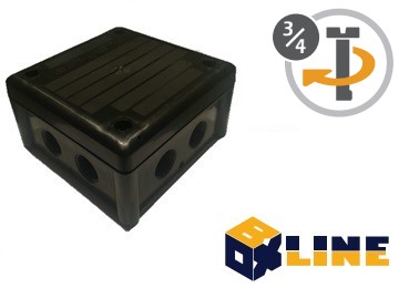 FKWVIJS-BLZ100S-0001